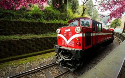 Traditional Train Run in Alishan Train for trasport passager