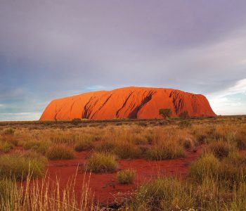 Uluru Landscape_MR