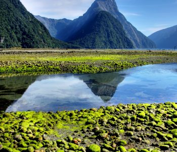 milford sound nz_37416118